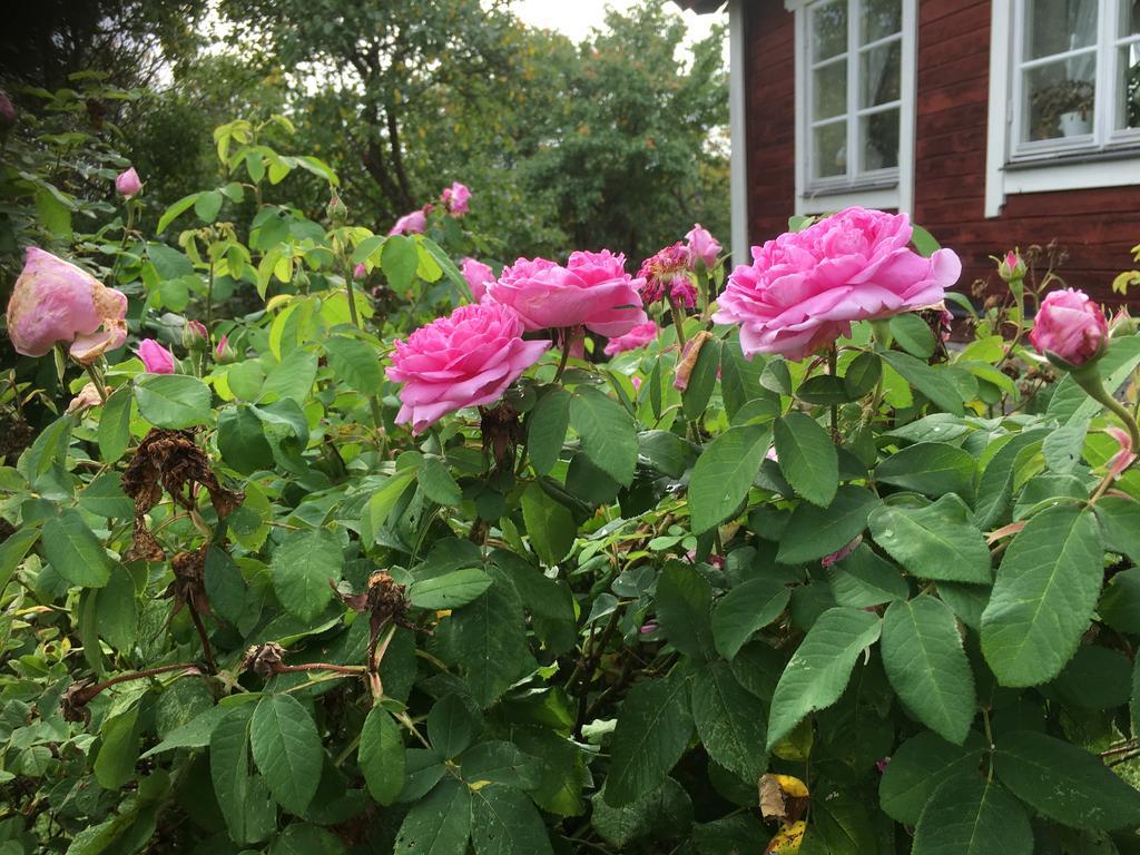 Thorstorps Gard B&B Söderköping 外观 照片